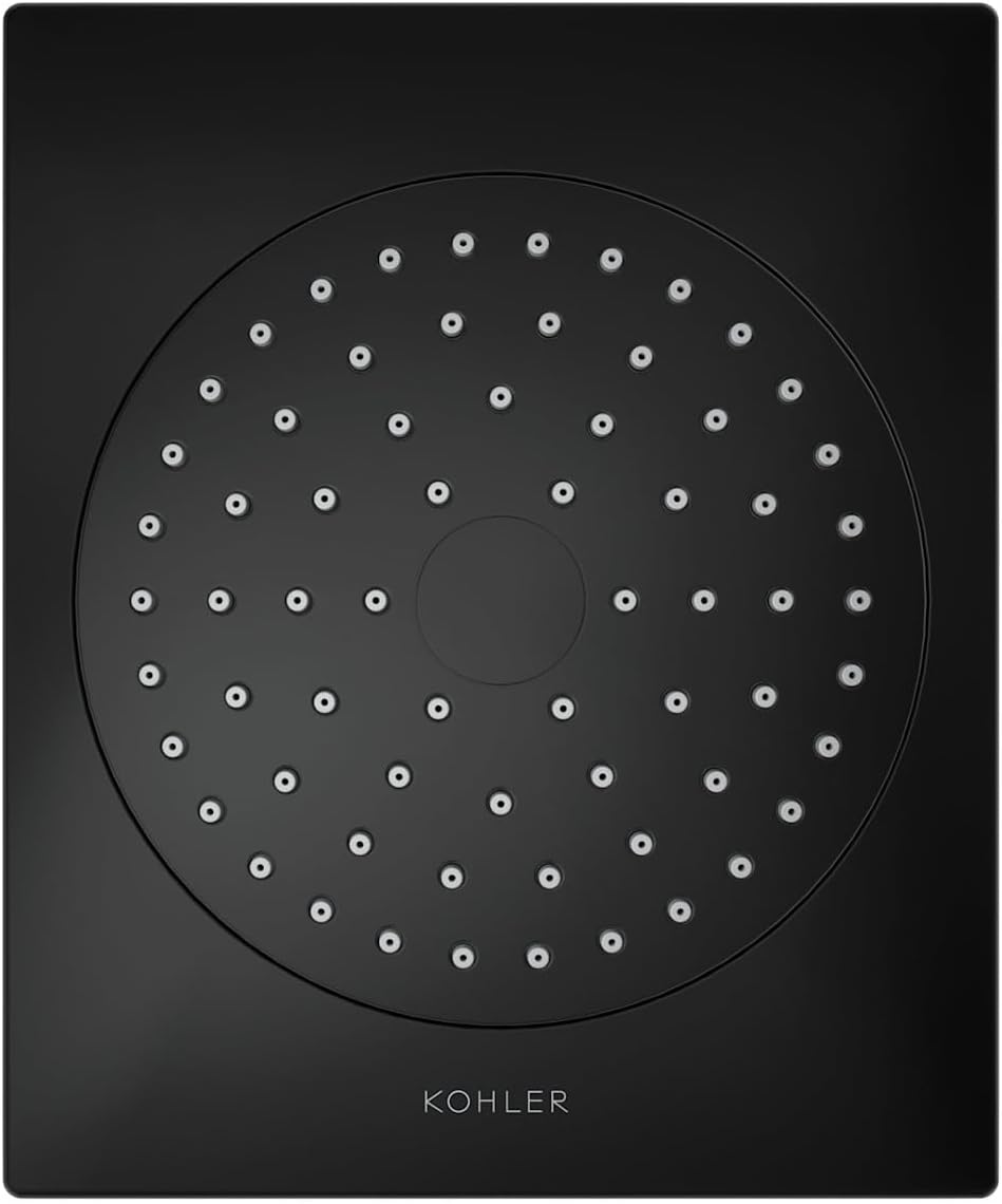 Loure Single-Function Showerhead, Showerarm and Escutcheon Not included Finish: Polished Chrome