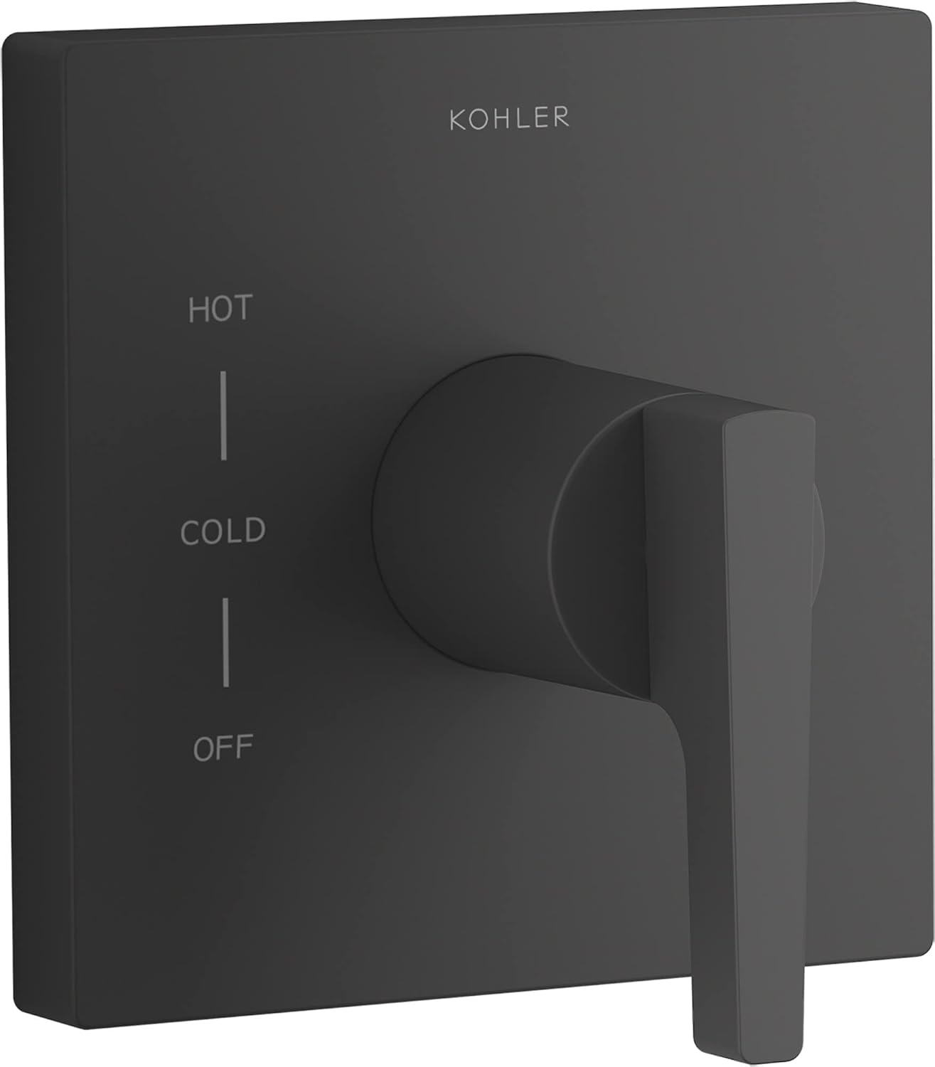 KOHLER Honesty Rite-Temp Valve Trim With Lever Handle
