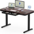 FLEXISPOT Comhar 48' Electric Standing Desk with Drawers, Quick Assembly Home Office Sit Stand Desk with Storage & USB Charging, Computer Workstation for Home Office (48' Wood, Dark Walnut/Black)