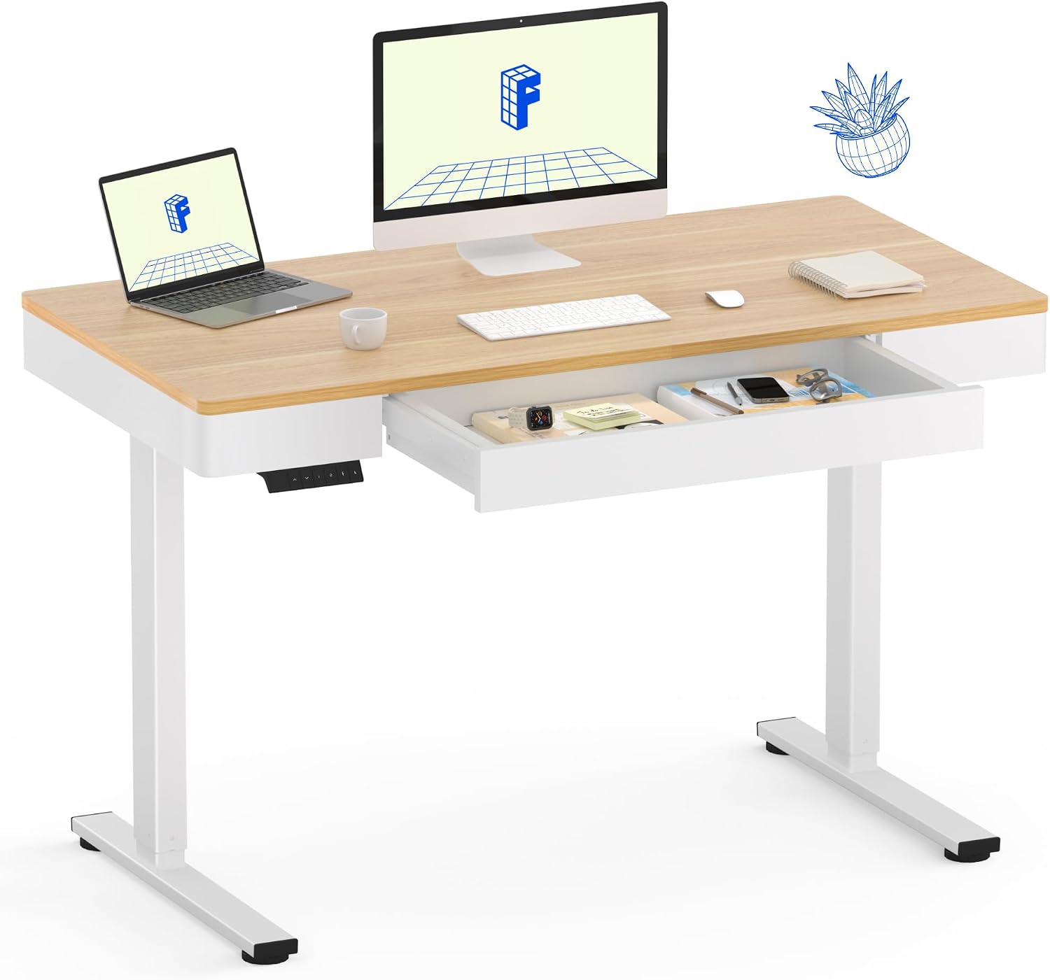 FLEXISPOT Standing Desk with Drawer, 48 x 24 Inch Electric Adjustable Height Stand Up Desk with Storage Organizer, Whole Piece Wooden Desktop for Home, Office, Computer Workstation, Maple