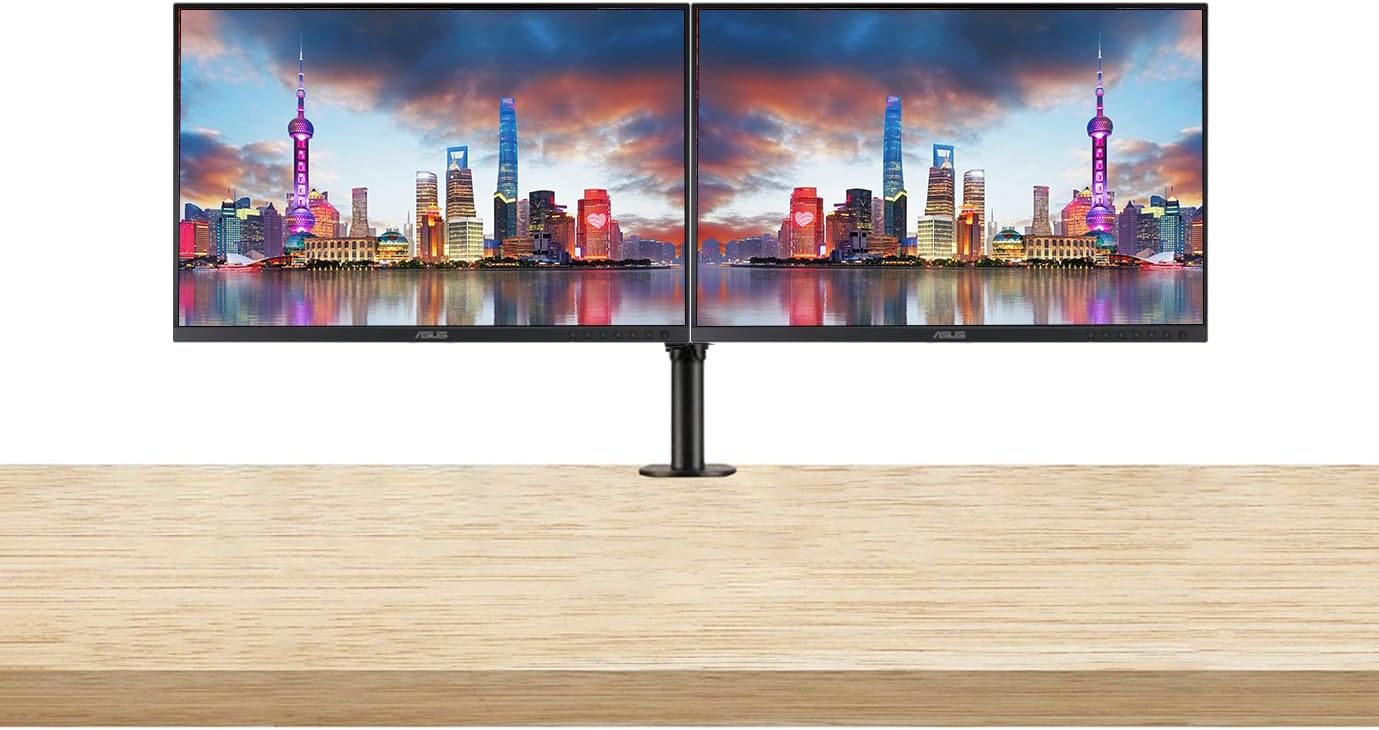 Asus ProArt PA248CRV 24-inch 1920 x 1200 WUXGA Professional Monitor, 2-Pack Bundle with USB-C 96W PD, Daisy Chain DisplayPort, HDMI, USB Hub, Integrated Speakers and Desk Mount Dual Monitor Stand