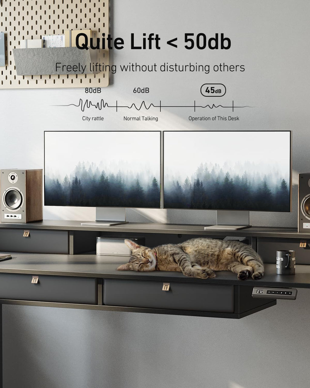 FEZIBO 48 x 24 inch Standing Desk with Drawers, Height Adjustable Electric Workstation, Computer Sit Stand Up Table with Large Storage Shelf 4 Drawers and 2 Hooks, Black