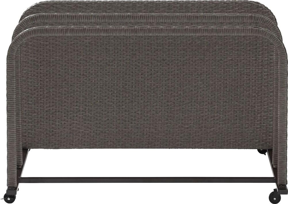 Crosley Furniture Palm Harbor Wicker Outdoor Storage Pool Caddy for Toys, Floats, Patio Furniture Cushions