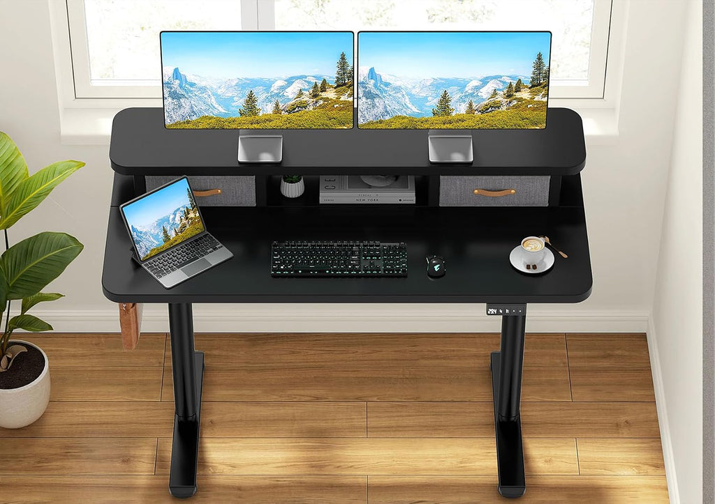 Flycity Electric Standing Desk with Dual Drawers, 48' x 24' Height Adjustable Desk Sit Stand Desk with Memory Controller, Casters & 2 Hooks, Low Noise Home Office Desk, Black