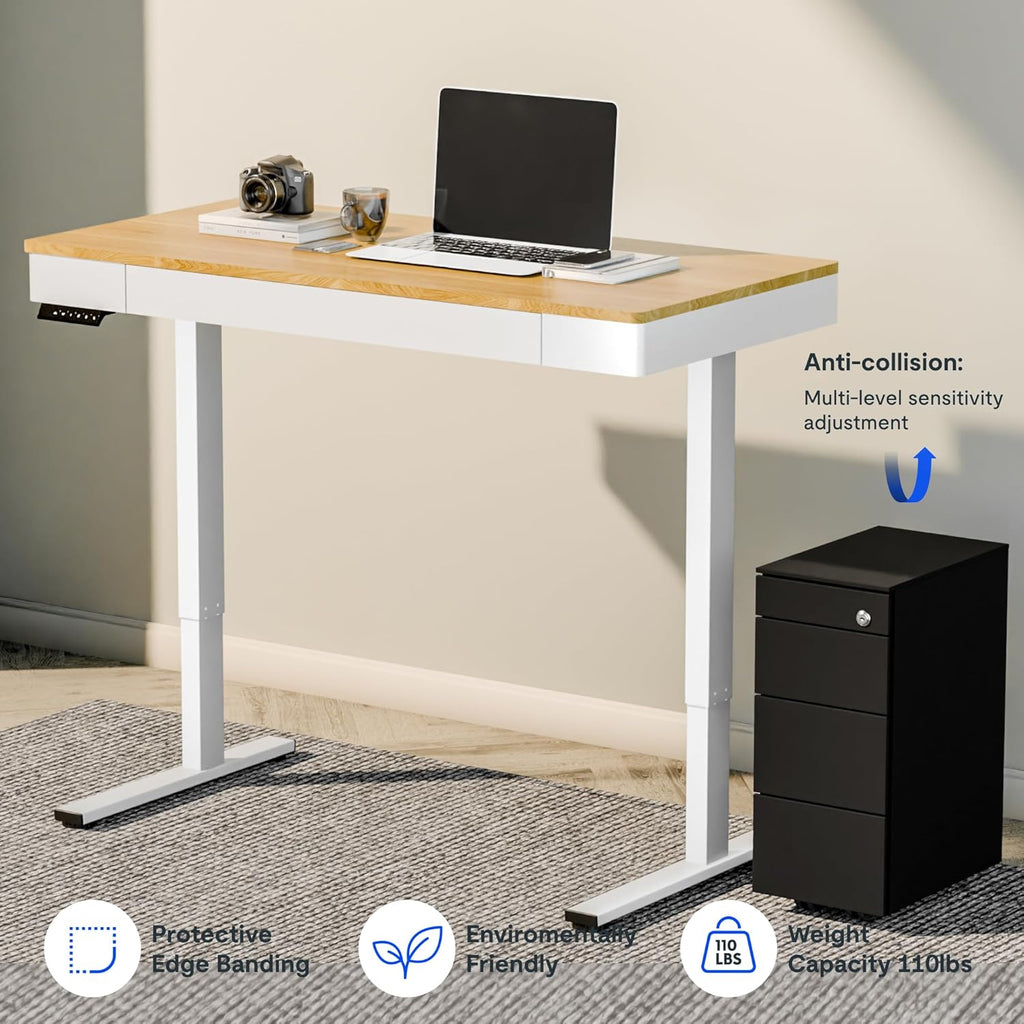 FLEXISPOT Standing Desk with Drawer, 48 x 24 Inch Electric Adjustable Height Stand Up Desk with Storage Organizer, Whole Piece Wooden Desktop for Home, Office, Computer Workstation, Maple