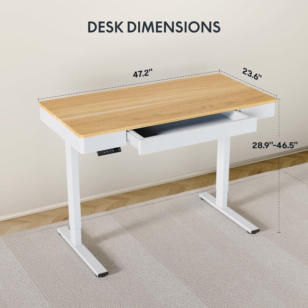 FLEXISPOT Standing Desk with Drawer, 48 x 24 Inch Electric Adjustable Height Stand Up Desk with Storage Organizer, Whole Piece Wooden Desktop for Home, Office, Computer Workstation, Maple
