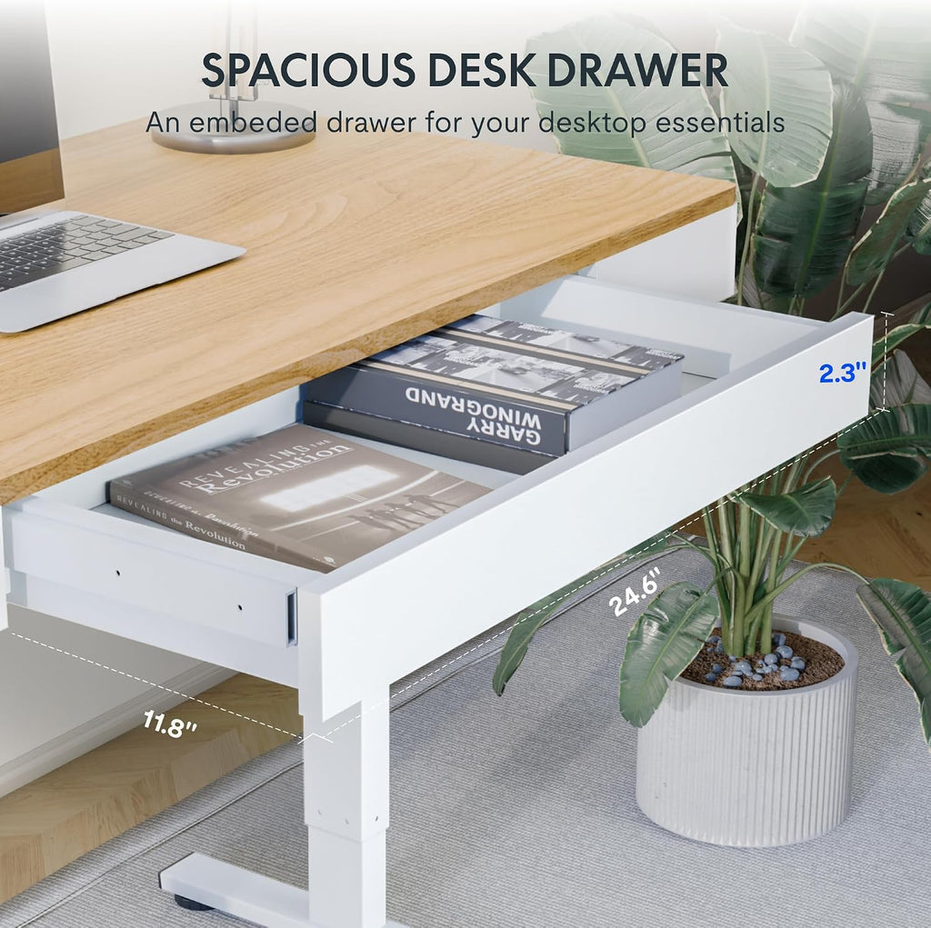 FLEXISPOT Standing Desk with Drawer, 48 x 24 Inch Electric Adjustable Height Stand Up Desk with Storage Organizer, Whole Piece Wooden Desktop for Home, Office, Computer Workstation, Maple