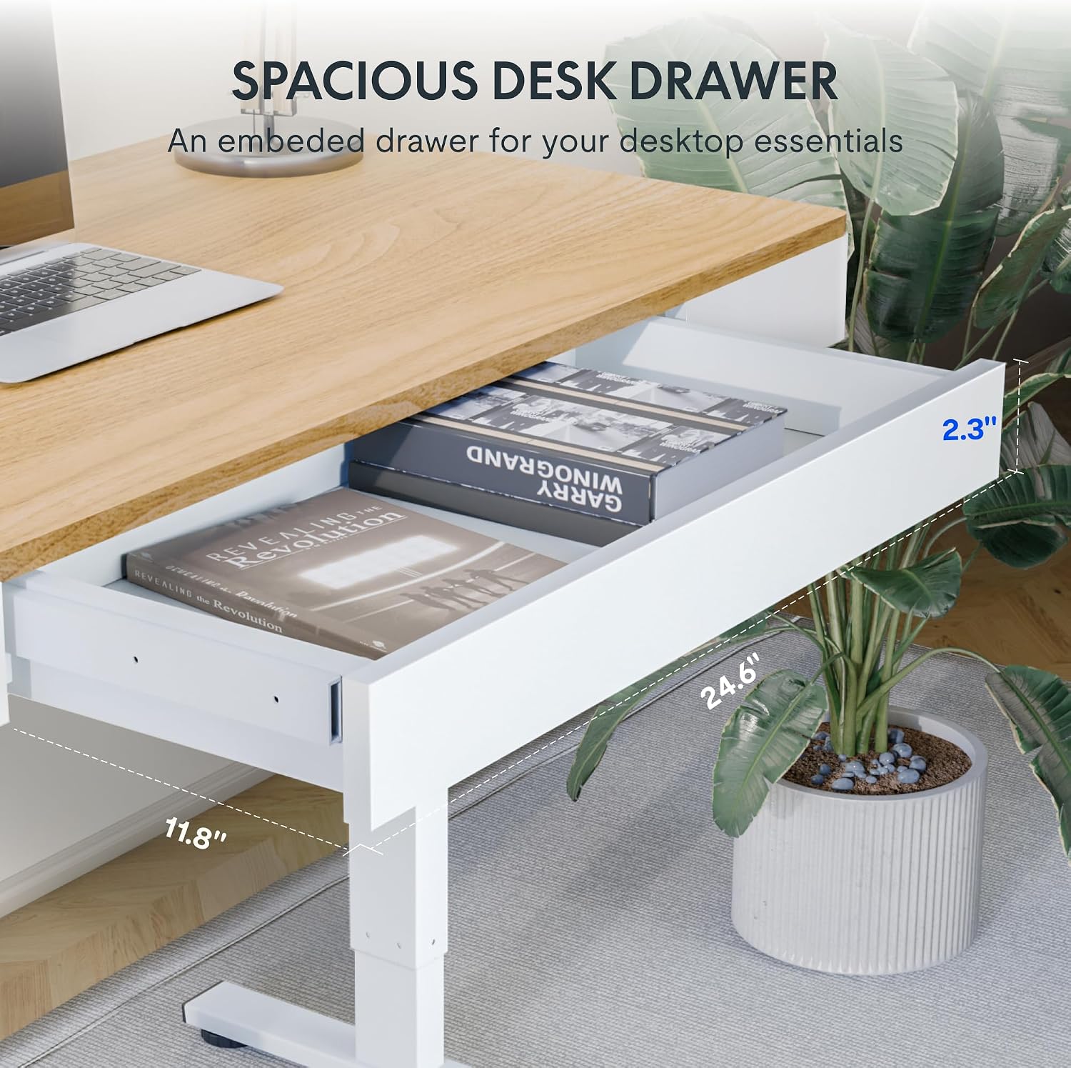 FLEXISPOT Standing Desk with Drawer, 48 x 24 Inch Electric Adjustable Height Stand Up Desk with Storage Organizer, Whole Piece Wooden Desktop for Home, Office, Computer Workstation, Maple