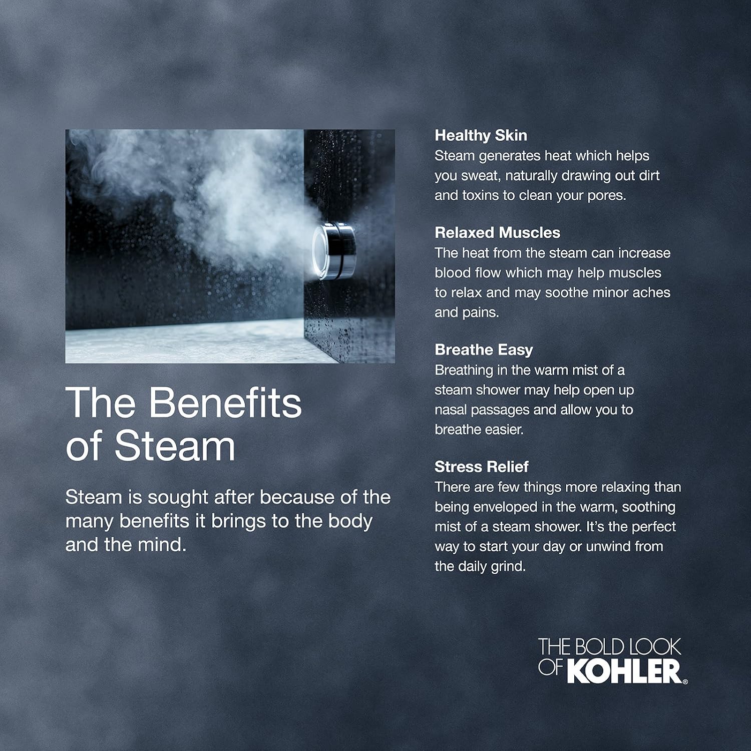 KOHLER K-5548-K1-BV DTV+ Steam Adapter Kit, Vibrant Brushed Bronze