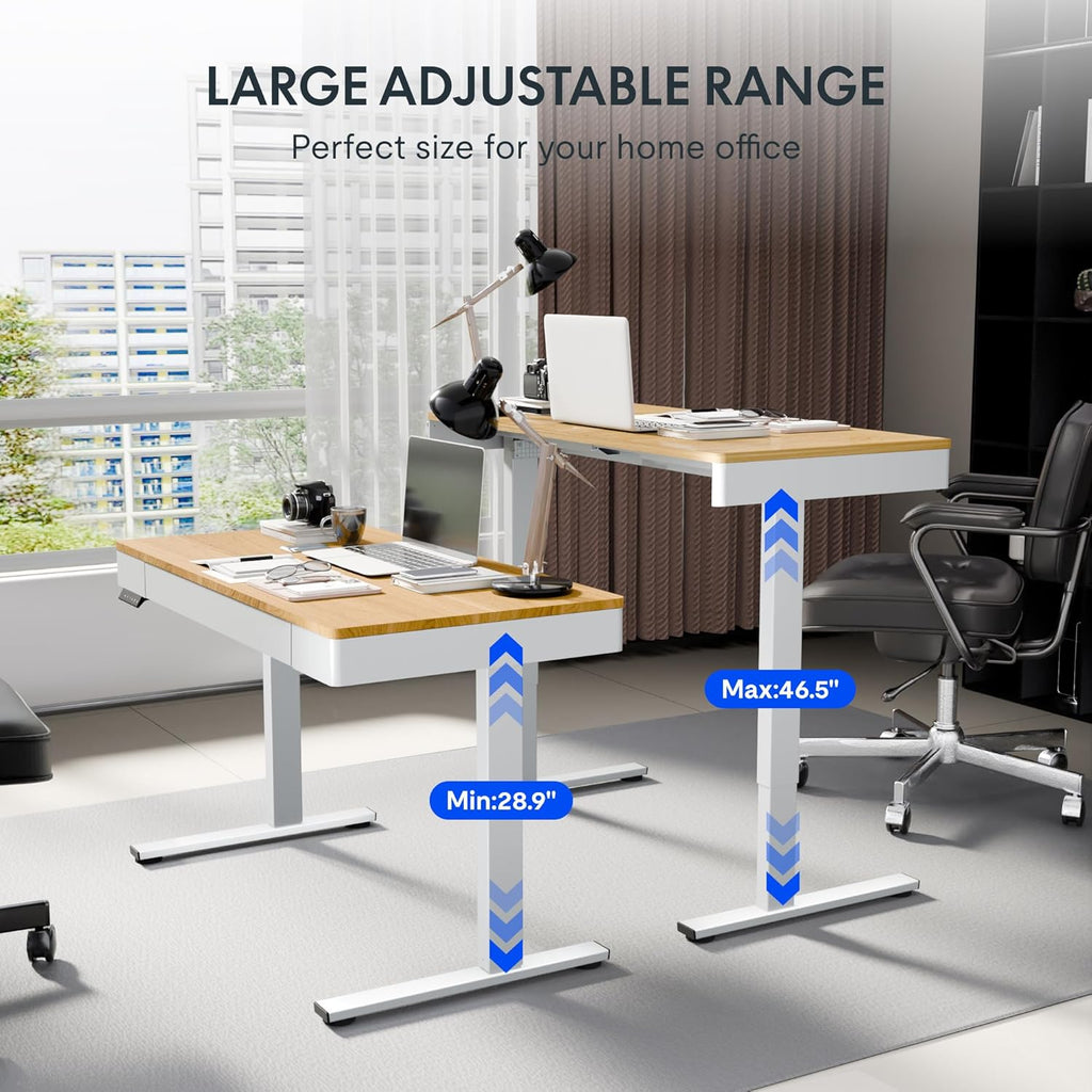 FLEXISPOT Standing Desk with Drawer, 48 x 24 Inch Electric Adjustable Height Stand Up Desk with Storage Organizer, Whole Piece Wooden Desktop for Home, Office, Computer Workstation, Maple