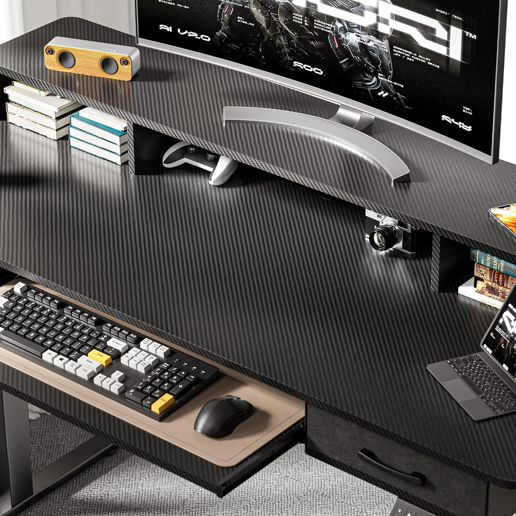 WALKINGDESK 55x24 Inches Electric Standing Desk with Keyboard Tray, Height Adjustable Stand up Desk with 2 Drawers, Ergonomic Sit to Stand Desk with Storage Monitor Stand, Computer Table, Black